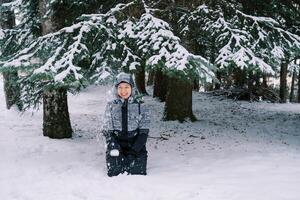 joven riendo mujer sentado en su rodillas en el nieve cerca el Navidad árbol debajo el que cae nieve foto
