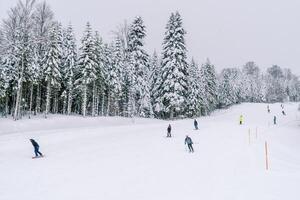 Skiers and snowboarders descend the gentle snow slope along the edge of the forest photo