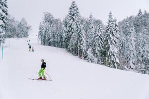 esquiadores en vistoso esquí trajes descender un montañoso Nevado Pendiente a lo largo un bosque foto