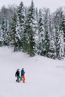 Snowboarders walk along a snowy hill along the edge of a forest photo