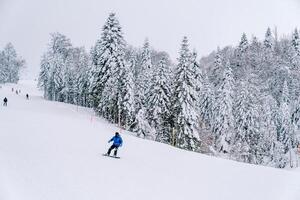 Snowboarder in a blue ski suit rides along a hilly snowy slope along the forest photo