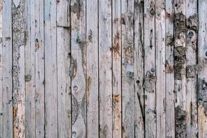 Unpainted wooden barn wall made of tightly fitted boards with peeling bark photo