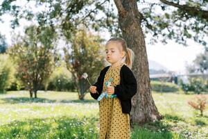 Little girl blows on a dandelion in her hand while standing in a sunny meadow under a tree photo