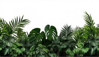 AI Generated Background of tropical flowers photo