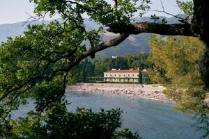 View through the green branches to the beach near Villa Milocer at the foot of the mountains. Montenegro photo