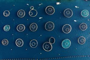 Round cages of a fish farm in the sea, fenced with buoys. Top view photo