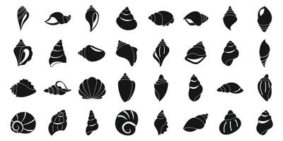 Conch icons set simple vector. Sea shell vector