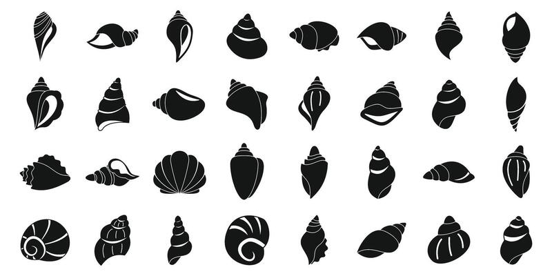 Conch icons set simple vector. Sea shell