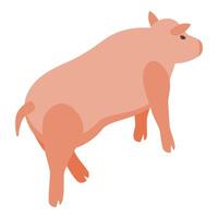 Pig farm animal icon isometric vector. Country farmer vector