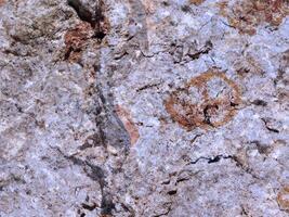 textura de piedra al aire libre foto