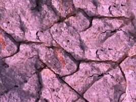 Outdoor stone texture photo