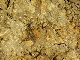 Outdoor stone texture photo