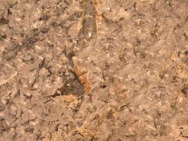 Outdoor stone texture photo