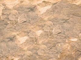 Outdoor stone texture photo