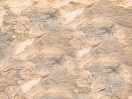 Outdoor stone texture photo