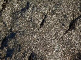 Outdoor stone texture photo