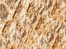 Outdoor stone texture photo