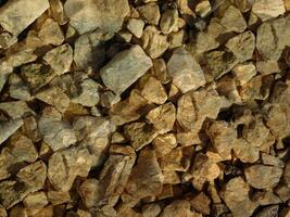 Outdoor stone texture photo