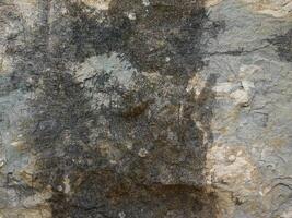 Outdoor stone texture photo