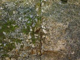 Outdoor stone texture photo