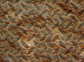 Outdoor stone texture photo