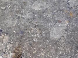 Marble Texture In The Garden photo