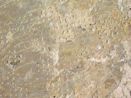 Stone Texture In The Garden photo
