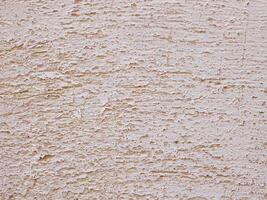 Stone Texture In The Garden photo