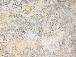 Marble Texture In The Garden photo