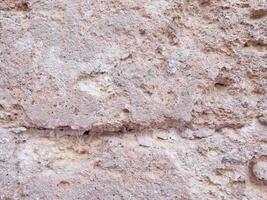 Stone Texture In The Garden photo