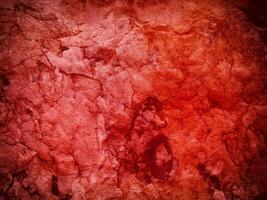 Red Marble Texture photo