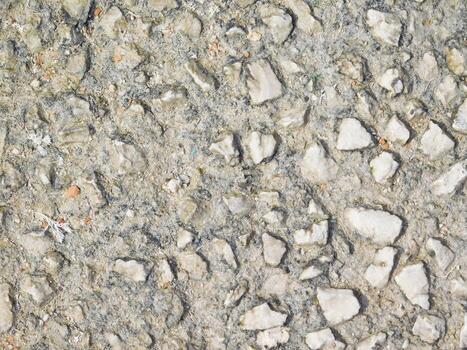 Stone Texture In The Garden photo