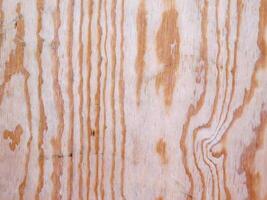 Wood Texture In The Garden photo