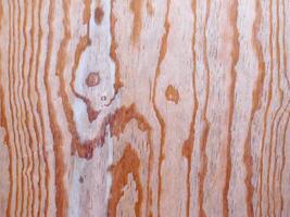 Wood Texture In The Garden photo