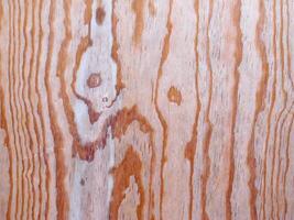 Wood Texture In The Garden photo