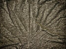 Dark Fabric Texture photo