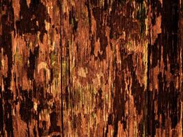 Dark Brown Wood Texture photo