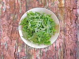 Arugula On Wooden Background photo