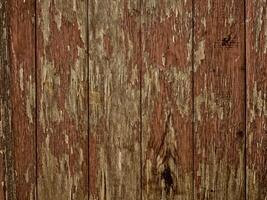 Brown Wood Texture photo