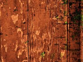 Dark Brown Wood Texture photo