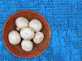 Mushrooms On The Wooden Background photo