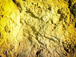 Texture Of Yellow Stone In The Garden photo