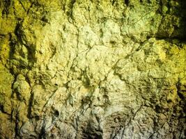 Texture Of Yellow Stone In The Garden photo