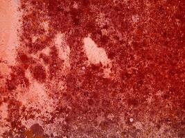 Texture Of Red Stone In The Garden photo