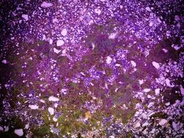 Texture Of Blue Stone In The Garden photo