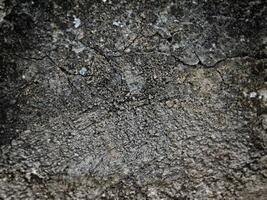 textura de piedra oscura en el jardín foto