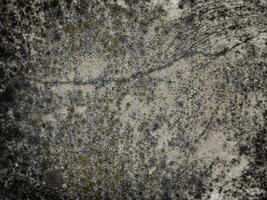 textura de piedra oscura en el jardín foto