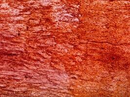 Texture Of Red Stone In The Garden photo