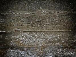 Dark Stone Texture In The Garden photo