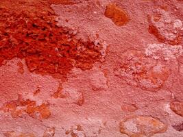 textura de piedra roja en el jardín foto